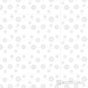 Cordillera - Fiore - 27x45