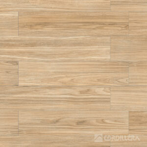 Cordillera - Cherry Maple - 20x90