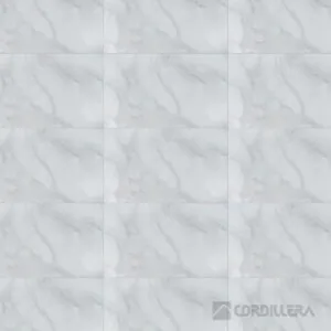 Cordillera - Lagos Gris - 27x45