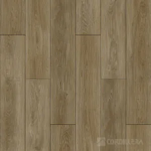 Cordillera - Araucaria SPC